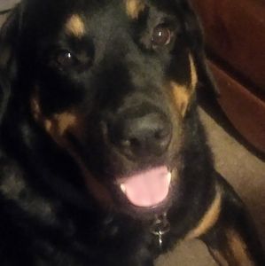 Meet your Posher, Barry